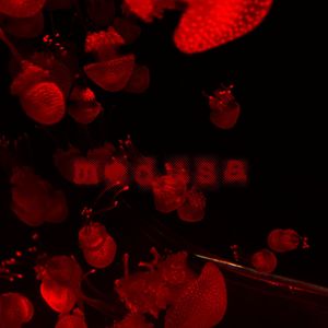 Medusa (Explicit)