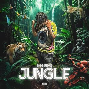 Jungle (Explicit)