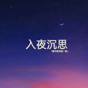 入夜沉思