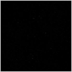 LIVIN' LIFE (Explicit)