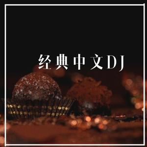 爱情码头 (改编版原唱: 郑源|DJ版)