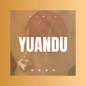 爱上离婚的女人 (DJ版)