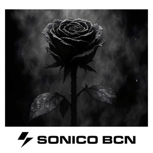 Embers in the Night (Original Mix)