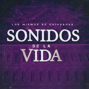 Sonidos de la vida