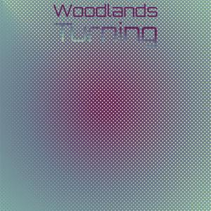 Woodlands Turning