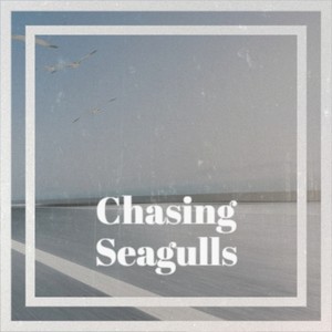 Chasing Seagulls