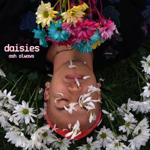 daisies (Explicit)