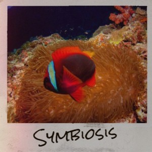 Symbiosis