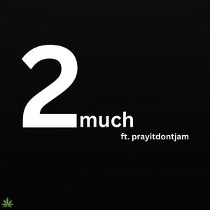 2much (feat. Prayitdontjam) (Explicit)
