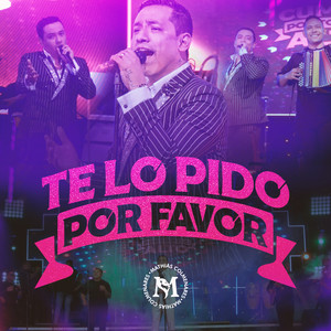 Te Lo Pido Por Favor (En Vivo)