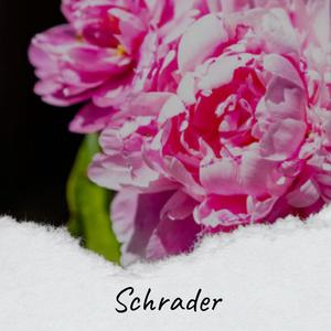 Schrader