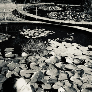 INQUIETUD (Explicit)