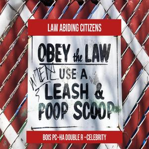 Law Abiding Citizens (Explicit)