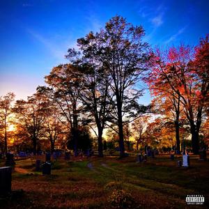 Substance (Explicit)