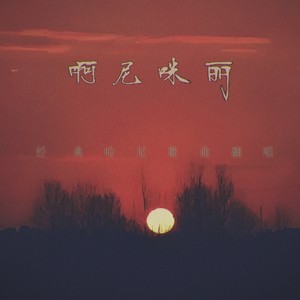 啊尼咪丽