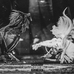 Pico De Gallo (feat. SHIFU CLAN) (Explicit)