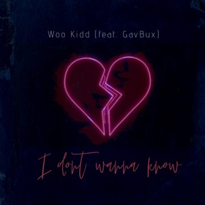 i don't wanna know (feat. GavBux) [Explicit]