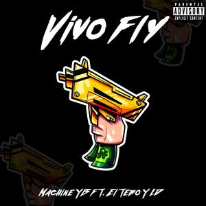 Vivo fly (feat. Machine YB, El Tebo & LD) [Explicit]