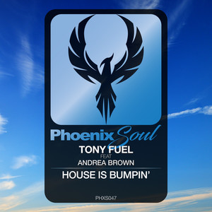 House Is Bumpin' (Extended Mix)