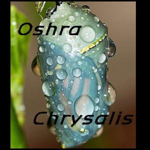 Chrysalis