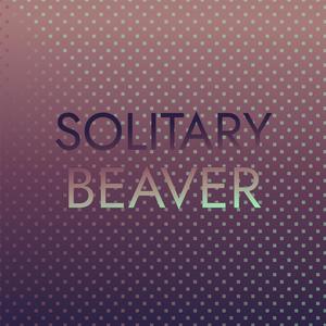 Solitary Beaver