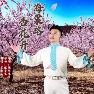 海棠路杏花开 (伴奏)