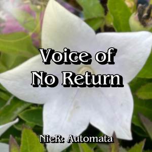 Voice of no Return (COVER版)