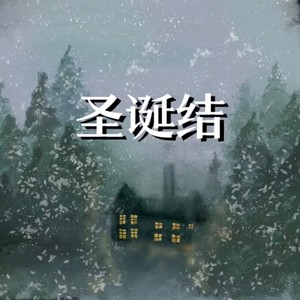 圣诞结
