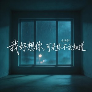 我好想你，可是你不会知道-大头针 Official
