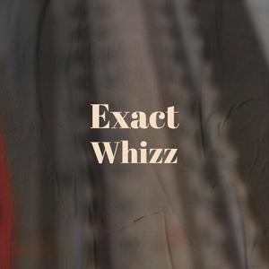 Exact Whizz