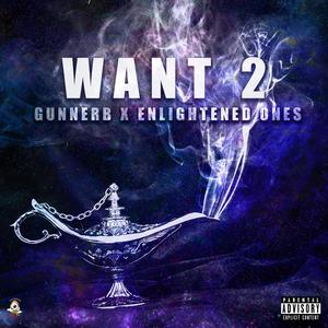 Want 2 (feat. Enlightened Ones) (Explicit)