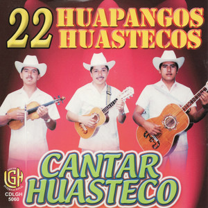 22 Huapangos Huastecos