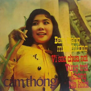 Cảm Thông (Dĩa Hát Sơn Ca 023)