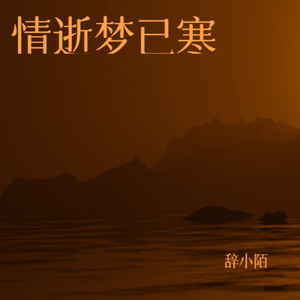 情逝梦已寒 (伴奏)