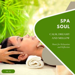 Spa Soul - Calm, Dreamy And Mellow Music For Relaxation And Reflextion, Vol. 16