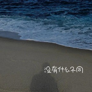 没有什么不同 (Live)