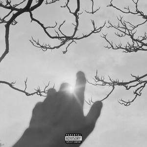 Differences (Explicit)