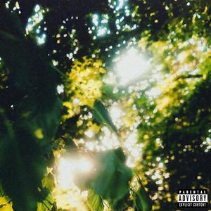 New Orleans (Explicit)