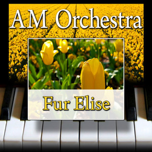 Bagatelle No. 25 in A Minor, WoO 59 