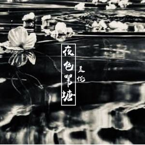 夜色苇塘 (伴奏)
