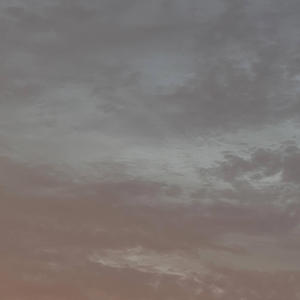 VAMPIRE DREAMS (Explicit)