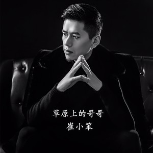 草原上的花正开