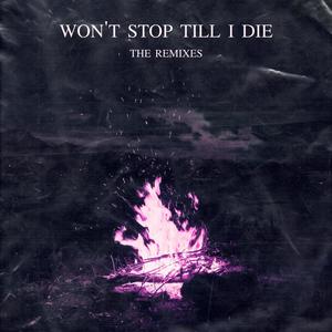 Won't Stop Till I Die (feat. Marseya) (ACE Remix)