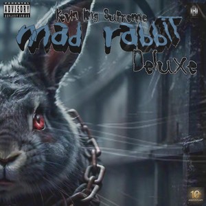 Mad Rabbit Deluxe (Explicit)