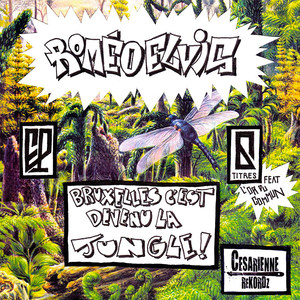 Schaerabeek(feat. Loxley) (Explicit)