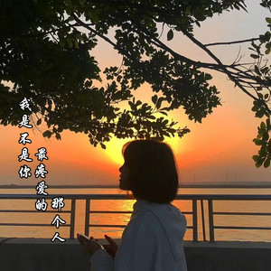 情人知己 (DJ新版)