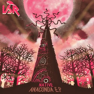Anaconda (Original Mix)