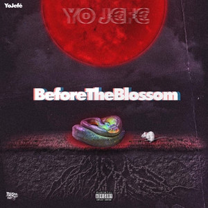 BeforeTheBlossom (Explicit)