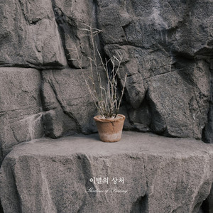 이별의 상처 (Feat. 강수민 & 김시형)