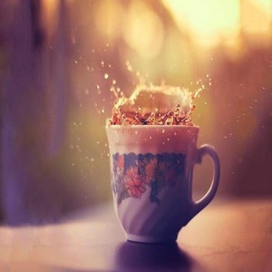 化风行万里 (Single Version)